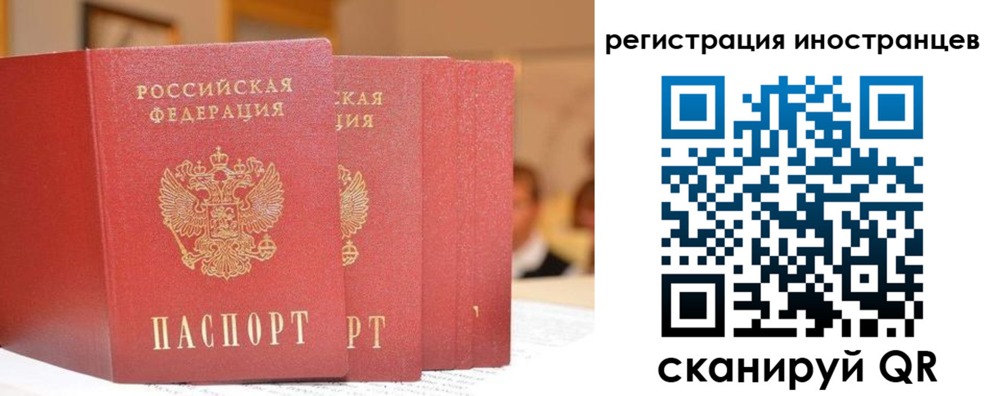где прописаться в Ермолино
